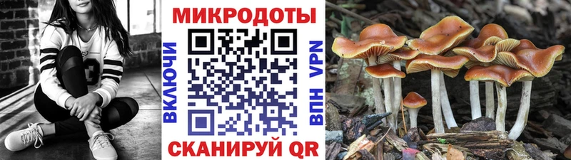 дарк нет формула купить закладку Чехов Псилоцибиновые грибы Psilocybine cubensis