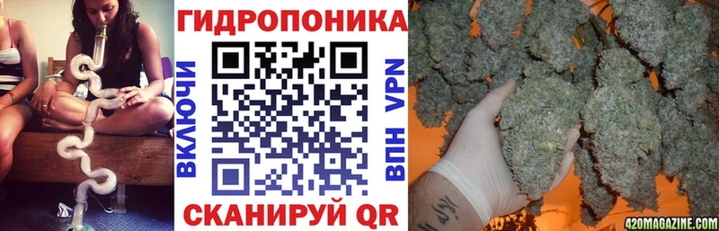 Бошки Шишки White Widow Чехов